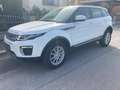 Land Rover Range Rover Evoque Range Rover Evoque HSE 2,0 TD4 Aut. HSE Weiß - thumbnail 29