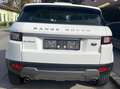 Land Rover Range Rover Evoque Range Rover Evoque HSE 2,0 TD4 Aut. HSE Weiß - thumbnail 3