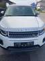 Land Rover Range Rover Evoque Range Rover Evoque HSE 2,0 TD4 Aut. HSE Weiß - thumbnail 15