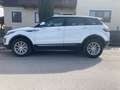 Land Rover Range Rover Evoque Range Rover Evoque HSE 2,0 TD4 Aut. HSE Weiß - thumbnail 38