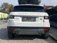 Land Rover Range Rover Evoque Range Rover Evoque HSE 2,0 TD4 Aut. HSE Weiß - thumbnail 5