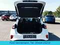Ford Puma 1.0 EB Titanium Autom.*eKlappe*iACC*TWA* Bianco - thumbnail 4