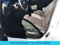 Ford Puma 1.0 EB Titanium Autom.*eKlappe*iACC*TWA* Bianco - thumbnail 9