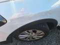Suzuki SX4 S-Cross SX4 S-Cross 1,0 DITC shineshine Alb - thumbnail 7