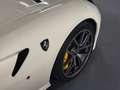 Ferrari 599 HGTE+GTO Optik   ***Ferrari Frankfurt*** Alb - thumbnail 10