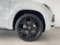 SEAT Ateca 1.5 EcoTSI S&S FR Special Edition DSG Blanco - thumbnail 8