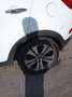 Kia Sportage Sportage 2.0 CRDi 2WD Sense+ Blanc - thumbnail 12