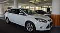 Ford Focus Champions Edition/AHK/LED/Navi/Standheiz. Weiß - thumbnail 3