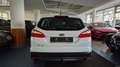 Ford Focus Champions Edition/AHK/LED/Navi/Standheiz. Weiß - thumbnail 6