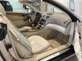 Mercedes-Benz SL 500 306CV ALLESTIMENTO 55AMG COMPLETO ! SOLO 73000KM ! Oro - thumbnail 9