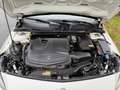 Mercedes-Benz A 180 Automaat•Pano•HarmanKardon Wit - thumbnail 27