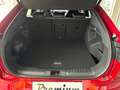 Ford Capri Elektro 77 kWh Batterie 286 PS Heckantrieb (627... Rot - thumbnail 9