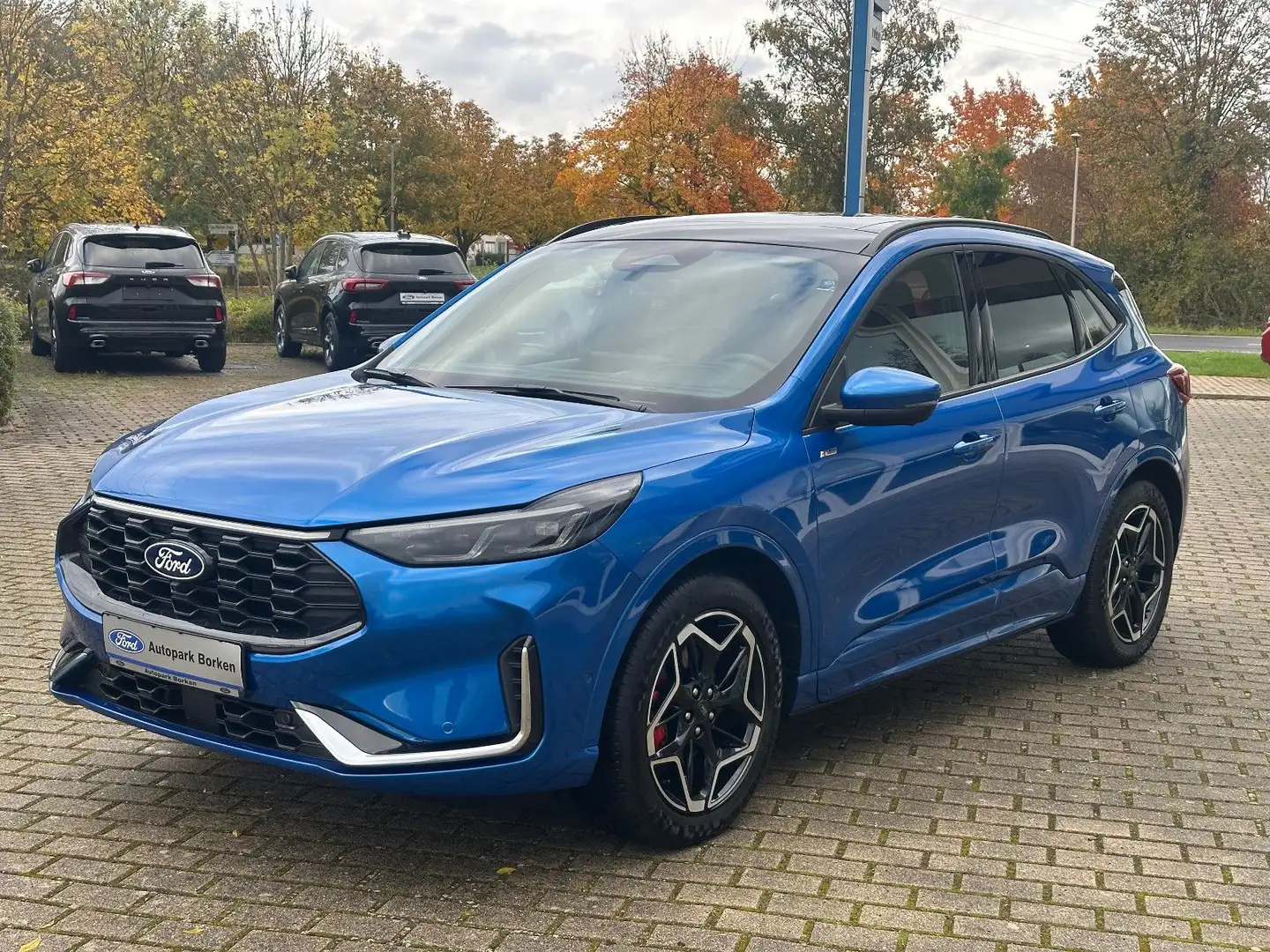 Ford Kuga Hybrid ST-Line X Technologie-Paket 19 ZOLL Blau - 1