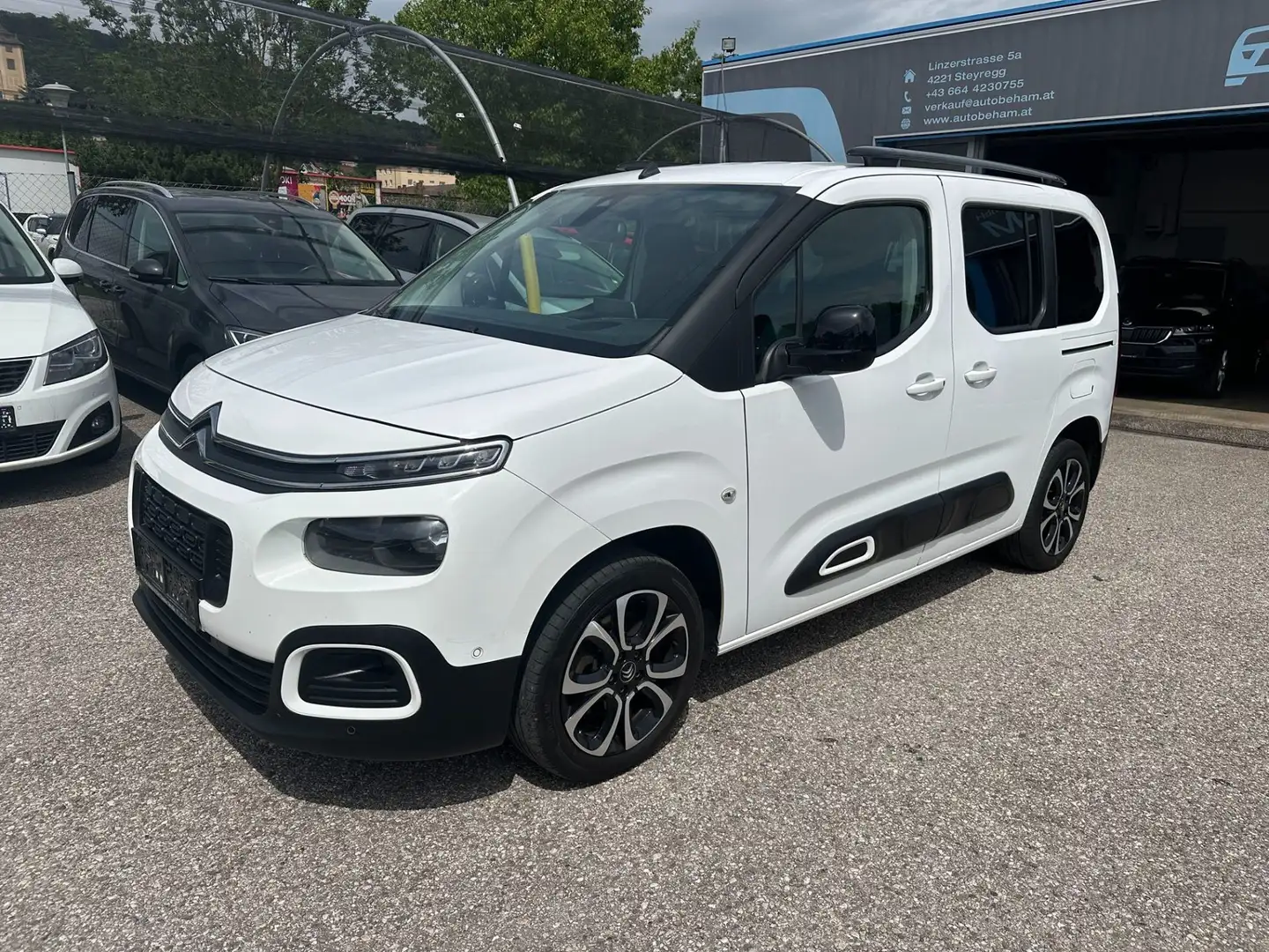 Citroen Berlingo BlueHDI 130 S&S Shine Carplay-Sitzhzg.-PDC Weiß - 1
