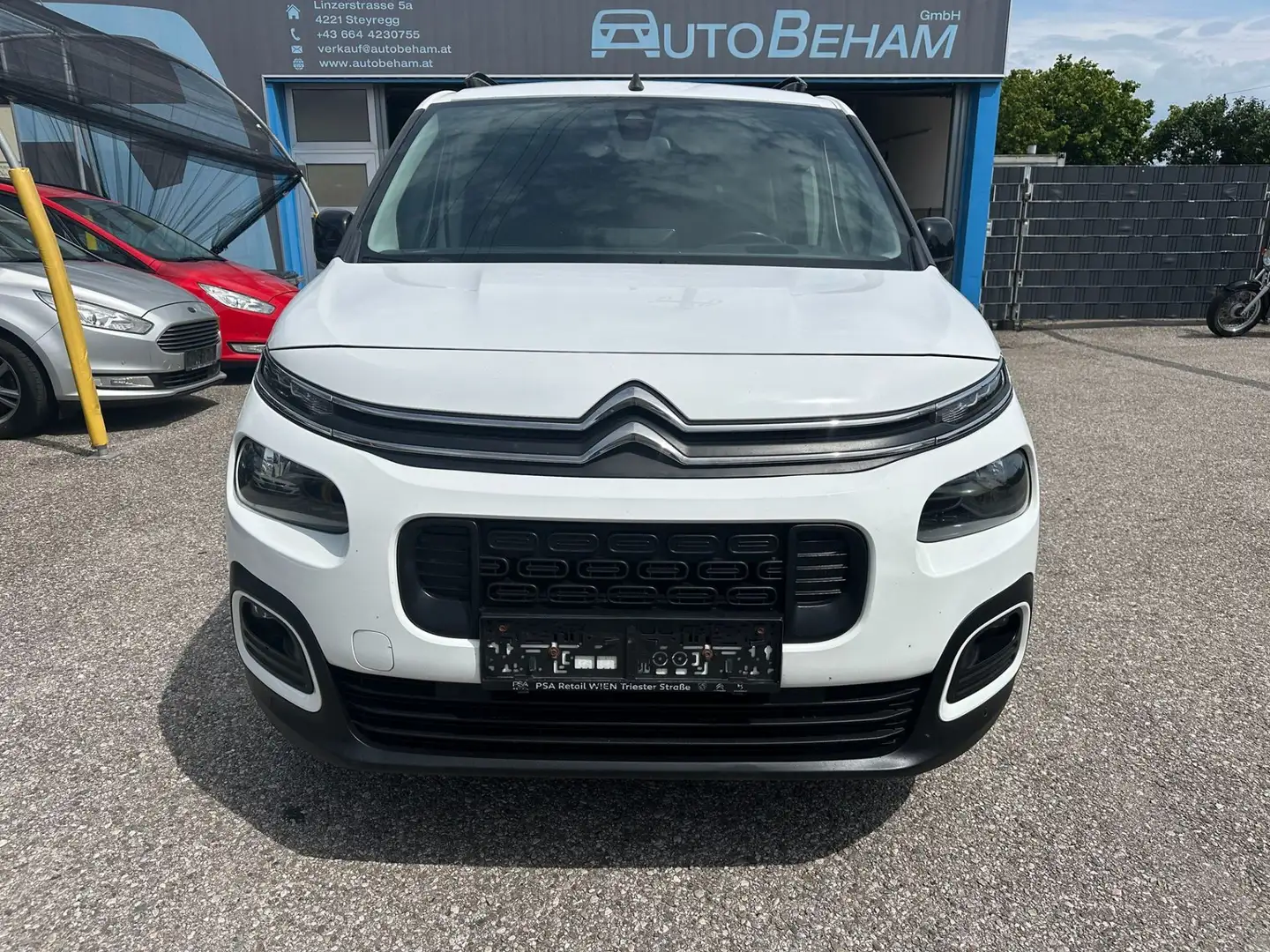 Citroen Berlingo BlueHDI 130 S&S Shine Carplay-Sitzhzg.-PDC Weiß - 2