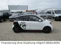 smart forFour electric drive / EQ*NAVI*SHZ*ALU*Klima* Wit - thumbnail 5