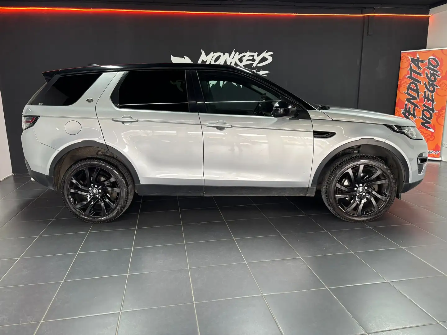 Land Rover Discovery Sport Discovery Sport 2.0 td4 HSE Luxury awd 180cv auto Argento - 2