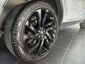 Land Rover Discovery Sport Discovery Sport 2.0 td4 HSE Luxury awd 180cv auto Argento - thumbnail 14
