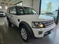 Land Rover Discovery 3.0 tdV6 HSE 211cv automatico Blanc - thumbnail 1