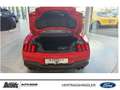 Ford Mustang Fastback 5.0 Ti-VCT V8 Aut. GT MagenRide Nite-Pony Rouge - thumbnail 7