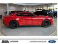 Ford Mustang Fastback 5.0 Ti-VCT V8 Aut. GT MagenRide Nite-Pony Rood - thumbnail 4