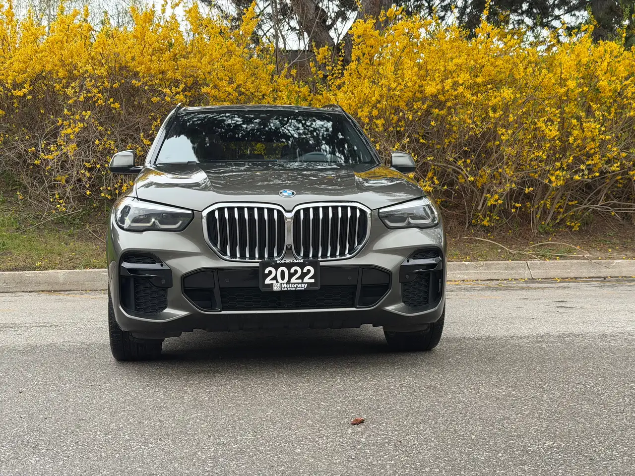 BMW X5 снимка BMW X5