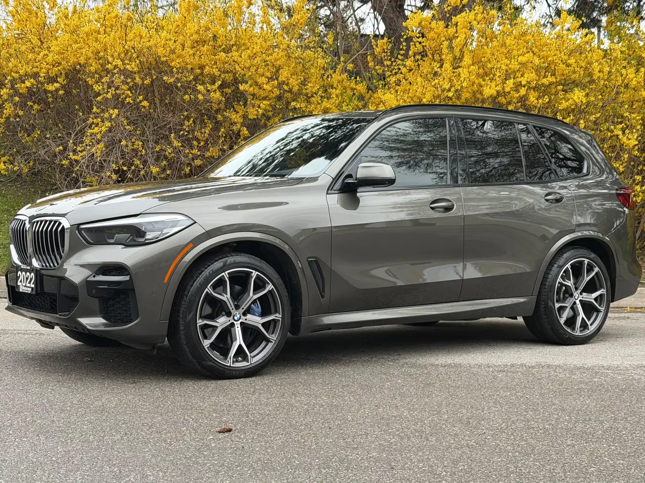 BMW X5 снимка BMW X5