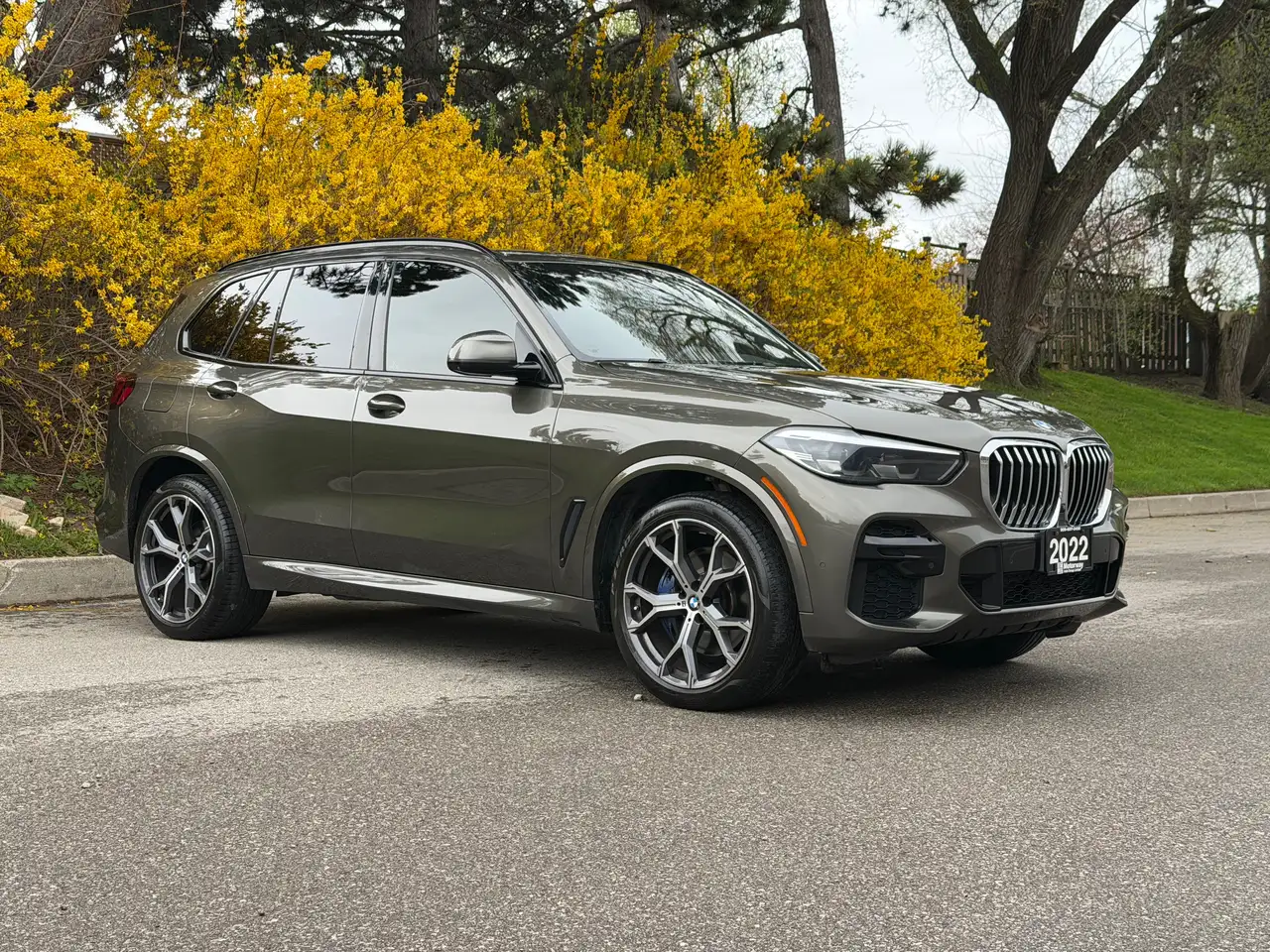 BMW X5 снимка BMW X5