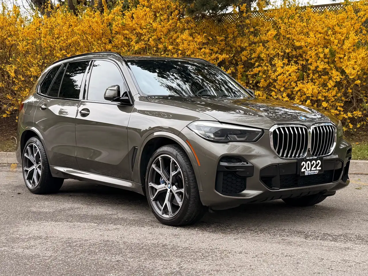 BMW X5 снимка BMW X5