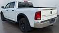 Dodge RAM OUTDOORSMAN Bianco - thumbnail 3