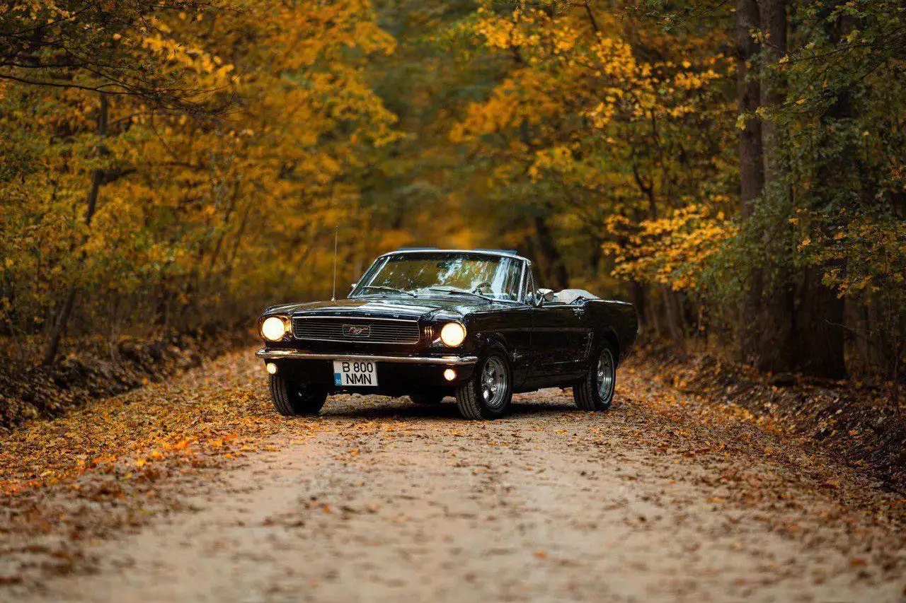 Ford Mustang 4’7 v8 full restoration, foto 5