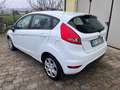 Ford Fiesta Fiesta 5p 1.2 16v + 82cv Bianco - thumbnail 9