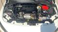 Fiat Tipo 1.5 Hybrid City Life DCT - thumbnail 12