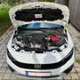 Fiat Tipo Fiat Tipo Cross TOP Ausstattung, sehr gepflegt Weiß - thumbnail 13