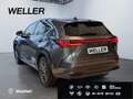 Lexus NX 350h *Bi-LED*ACC*CAM*Navi*CarPlay*Soundsystem* Grau - thumbnail 7