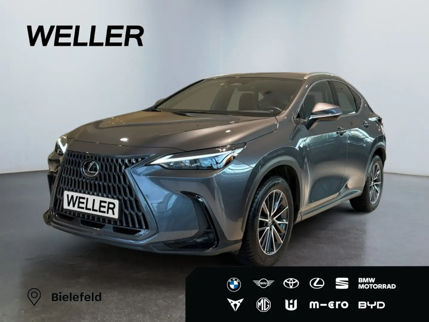 Lexus NX 350h *Bi-LED*ACC*CAM*Navi*CarPlay*Soundsystem* Grau - 1