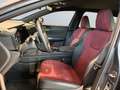 Lexus NX 350h *Bi-LED*ACC*CAM*Navi*CarPlay*Soundsystem* Grau - thumbnail 9