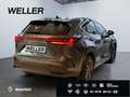 Lexus NX 350h *Bi-LED*ACC*CAM*Navi*CarPlay*Soundsystem* Grau - thumbnail 19