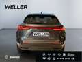 Lexus NX 350h *Bi-LED*ACC*CAM*Navi*CarPlay*Soundsystem* Grau - thumbnail 6