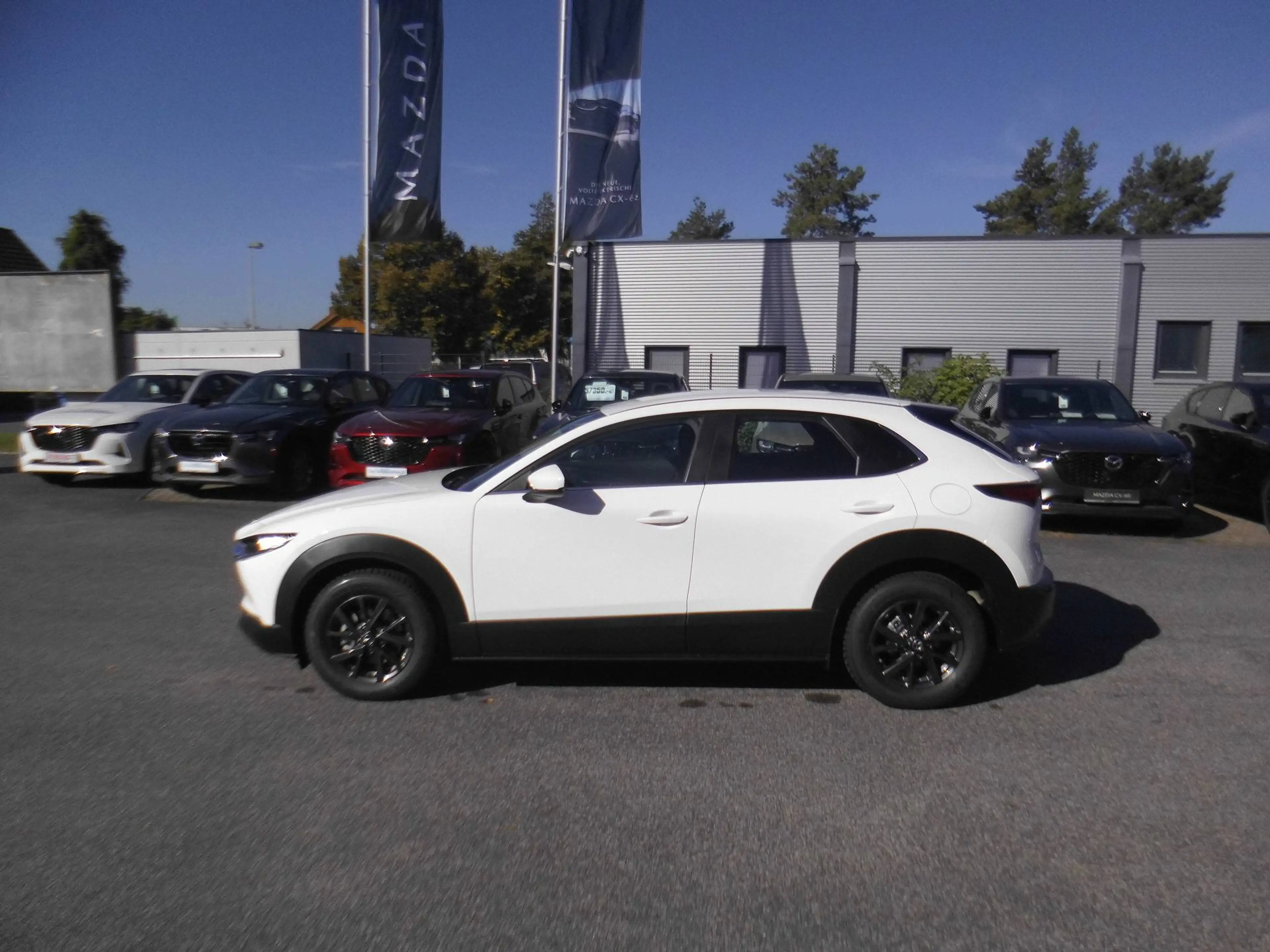 Mazda CX-30 2.5 Center Line 2WD — photo 8