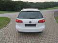 Volkswagen Golf Variant Rabbit 1,6 TDI SCR !1 Pickerl neu !! Weiß - thumbnail 6