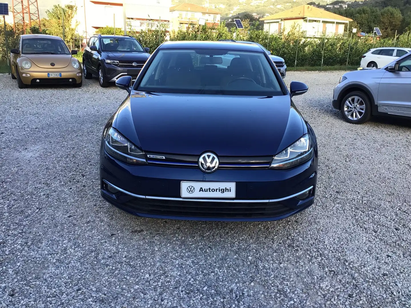 Volkswagen Golf Golf 1.4 TGI 5p. Business BlueMotion Blu/Azzurro - 2
