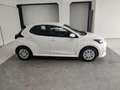 Mazda 2 1.5 VVT e-CVT Full Hybrid Electric Pure + Plus Pa Bianco - thumbnail 8