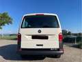 Volkswagen T6 Transporter Kasten-Kombi Kombi - thumbnail 6
