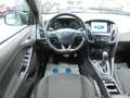 Ford Focus Turnier ST-Line Zahnriemen neu Gris - thumbnail 13