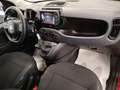 Fiat Panda 1.0 hybrid Cross * VARIE COLORAZIONI * Blu/Azzurro - thumbnail 12