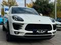 Porsche Macan S Diesel Aut. Blanc - thumbnail 14