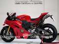 Ducati Panigale V4 S Panigale V4 S 2025 Akrapovic solo 234 km Rouge - thumbnail 11
