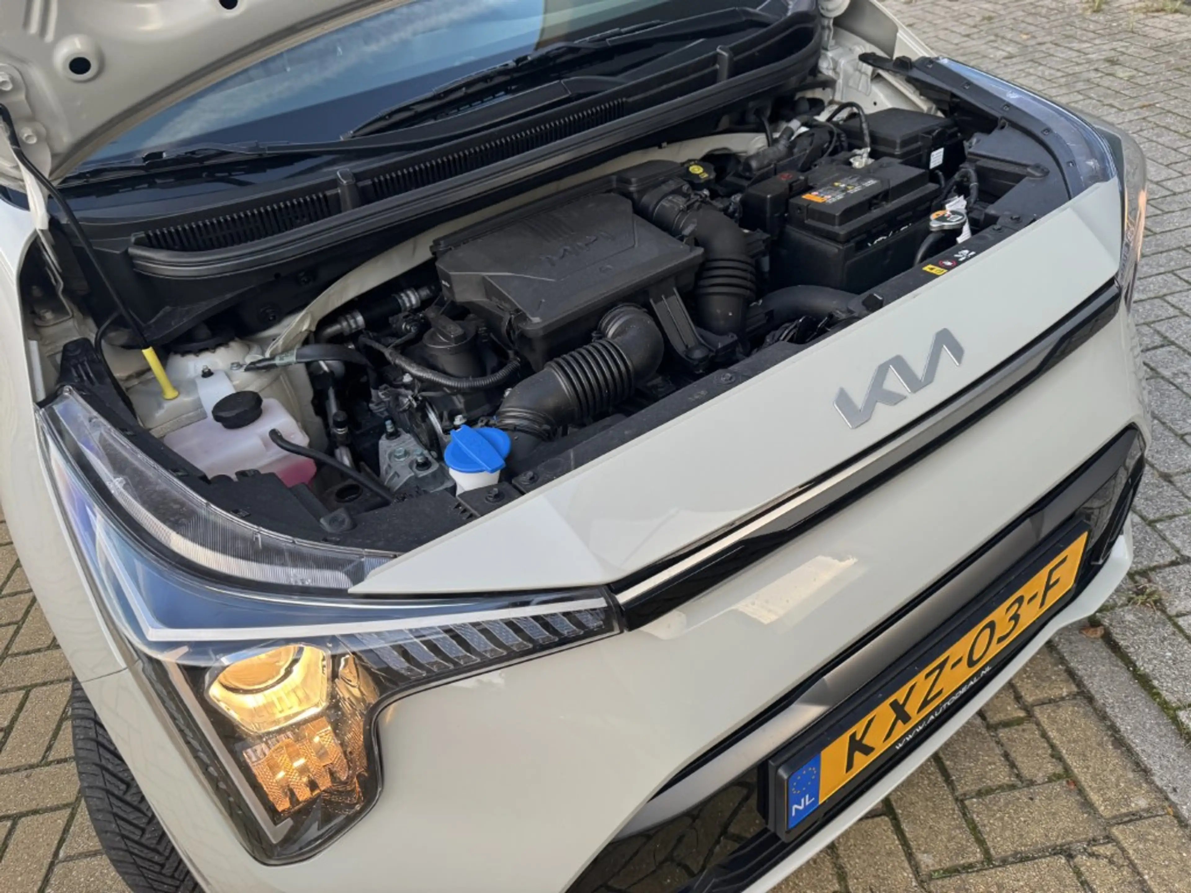 Kia Picanto 1.0 DPI DynamicPlusLine Aut — photo 21