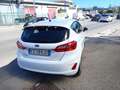 Ford Fiesta 1.5 EcoBlue 5p. Business Blanc - thumbnail 8